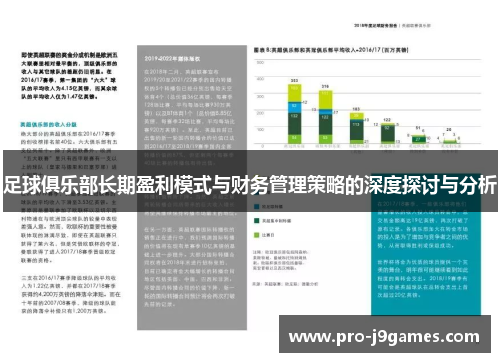 足球俱乐部长期盈利模式与财务管理策略的深度探讨与分析