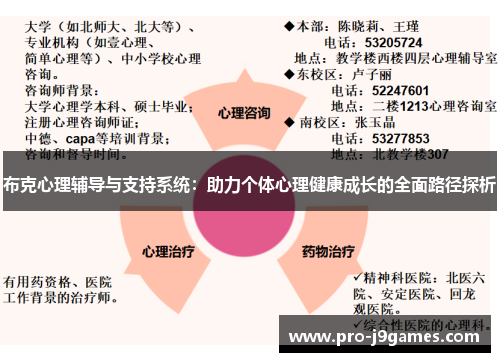 布克心理辅导与支持系统：助力个体心理健康成长的全面路径探析