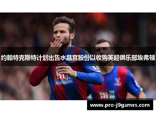 约翰特克斯特计划出售水晶宫股份以收购英超俱乐部埃弗顿