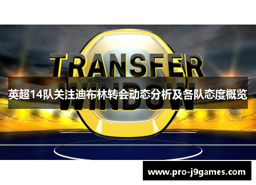 英超14队关注迪布林转会动态分析及各队态度概览