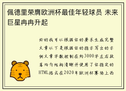 佩德里荣膺欧洲杯最佳年轻球员 未来巨星冉冉升起